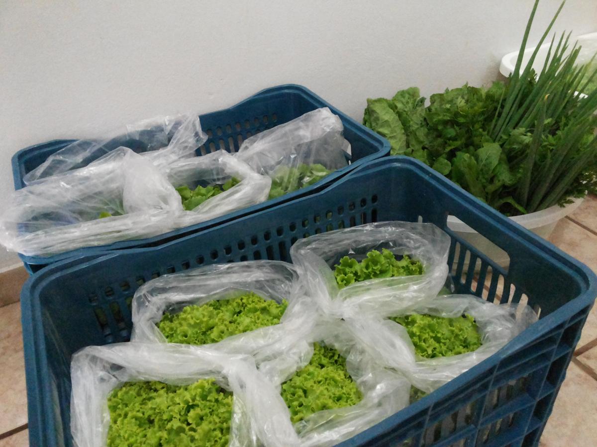 Fundação Lucas Araújo realiza Bazar Solidário toda quinta-feira