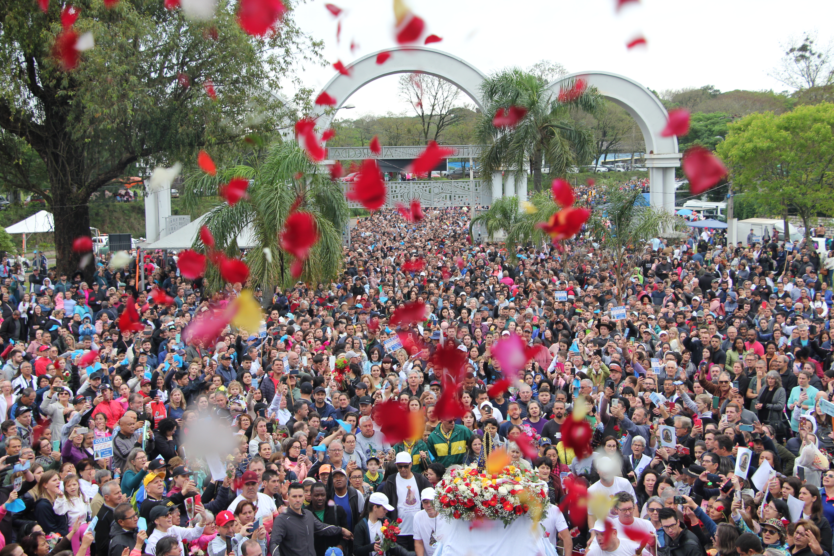 Romaria de Aparecida: milhares de fiéis caminham para demonstrar sua fé e gratidão   