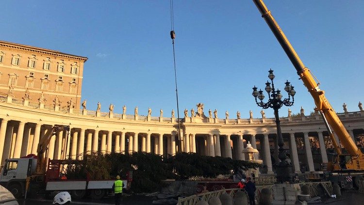Vaticano inaugura nesta sexta-feira o presépio e árvore de Natal na Praça São Pedro