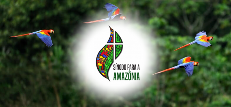 Sínodo da Amazônia: novos caminhos para a Igreja e para uma Ecologia Integral