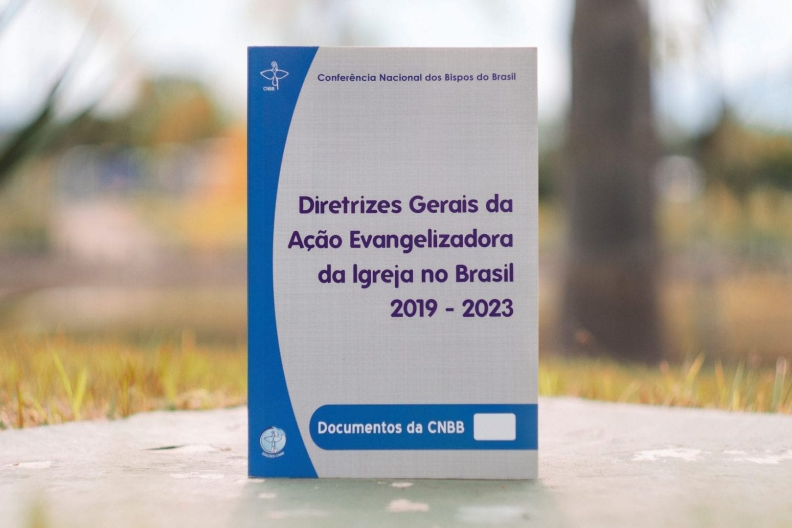 Em carta à Igreja no Brasil, CNBB anuncia caminho sinodal para construção das novas Diretrizes Gerais da Ação Evangelizadora