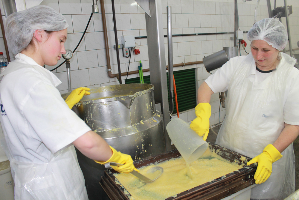 Cooperativismo, empreendedorismo e sucessão rural