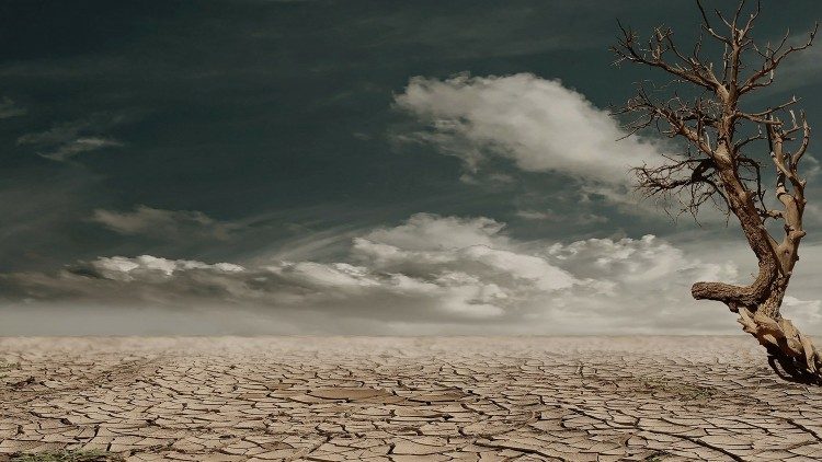 NOVA EXORTAÇÃO APOSTÓLICA: “LAUDATE DEUM”, O GRITO DO PAPA POR UMA RESPOSTA À CRISE CLIMÁTICA