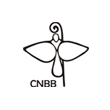 CNBB | Nacional